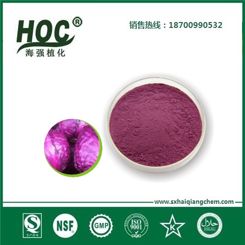 紫甘蓝粉 Purple cabbagepowder