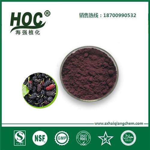 桑葚营养粉 Natural Mulberry powder