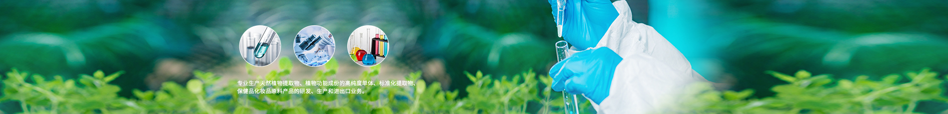 Banner002